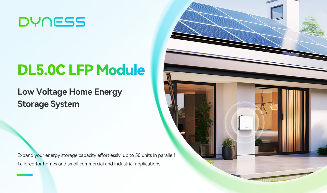 Dyness DL5.0C LFP Module for home energy storage