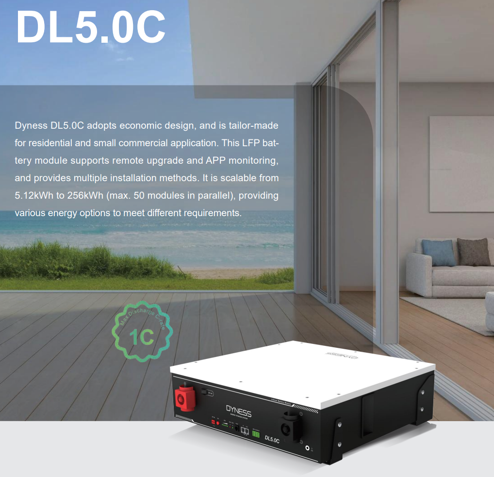 Dyness DL5.0C battery with economic design features