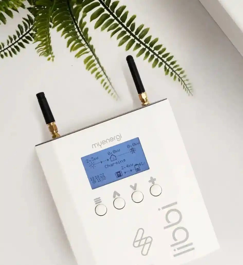 Libbi control unit with display and antennas